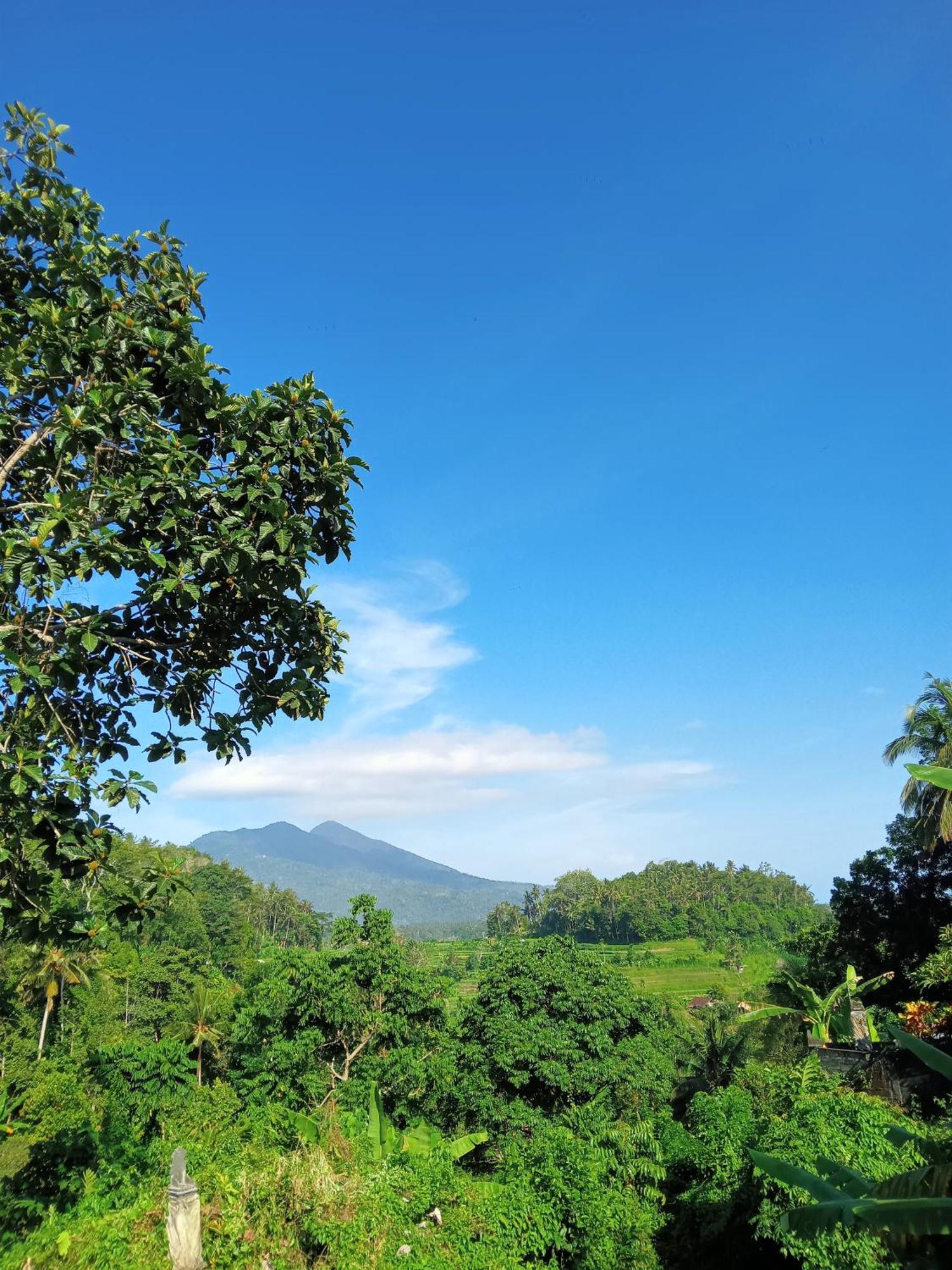 Alamku Bungalow Karangasem Eksteriør billede