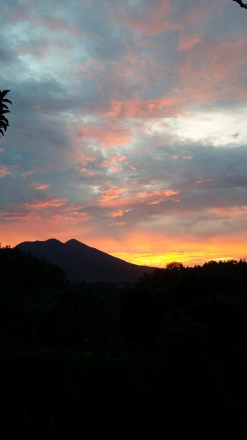 Alamku Bungalow Karangasem Eksteriør billede